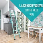 L'ascension Vegetale *