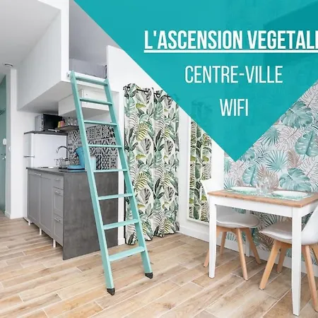 L'ascension Vegetale *